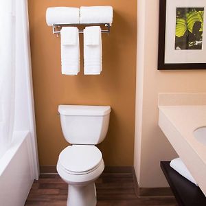 Efficiency One Room King Suite